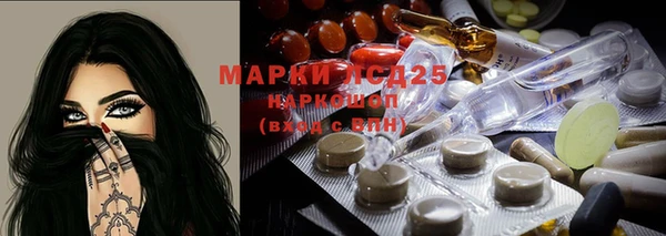 apvp Ельня