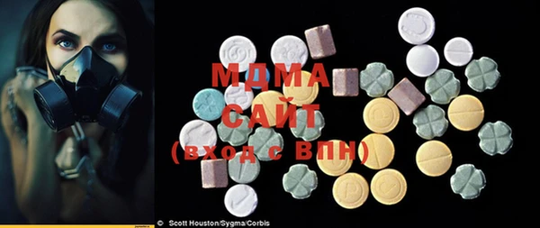 apvp Ельня