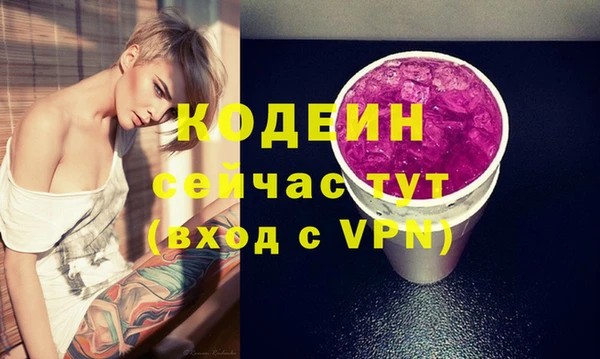 apvp Ельня
