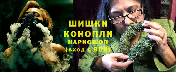 apvp Ельня