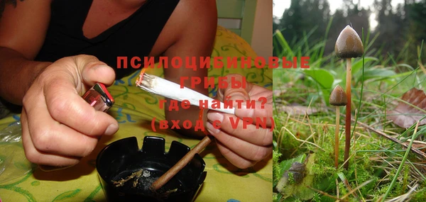 apvp Ельня