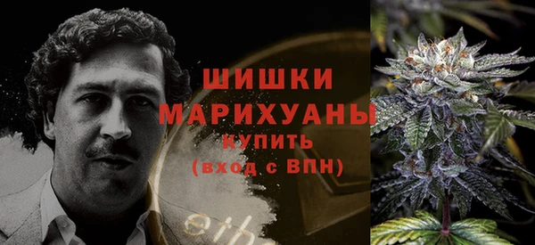 ECSTASY Елабуга