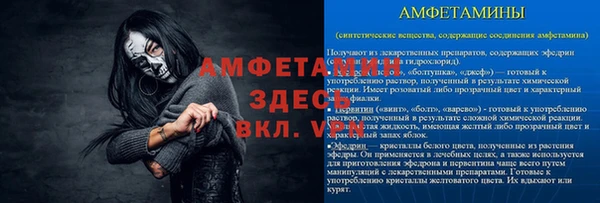 apvp Ельня